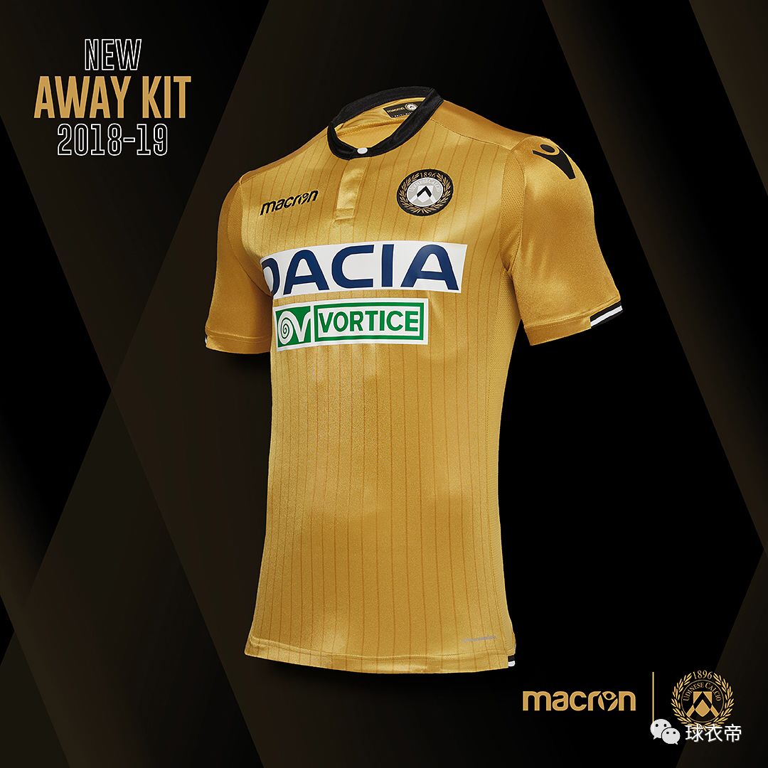 不仅展现了 不仅展现了